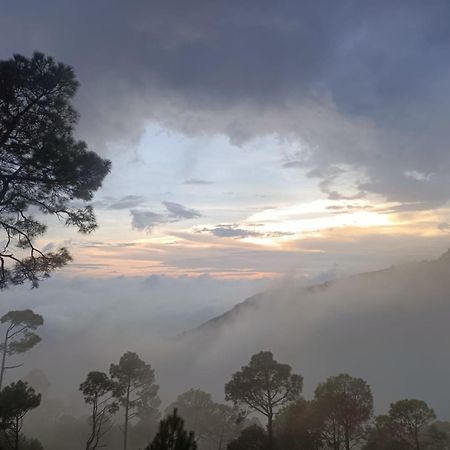 The Western Heights: Peaceful Family Apartments with Private Balconies Kasauli Exterior photo