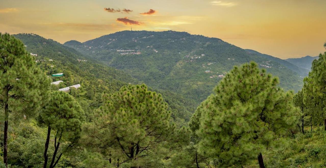 The Western Heights: Peaceful Family Apartments with Private Balconies Kasauli Exterior photo