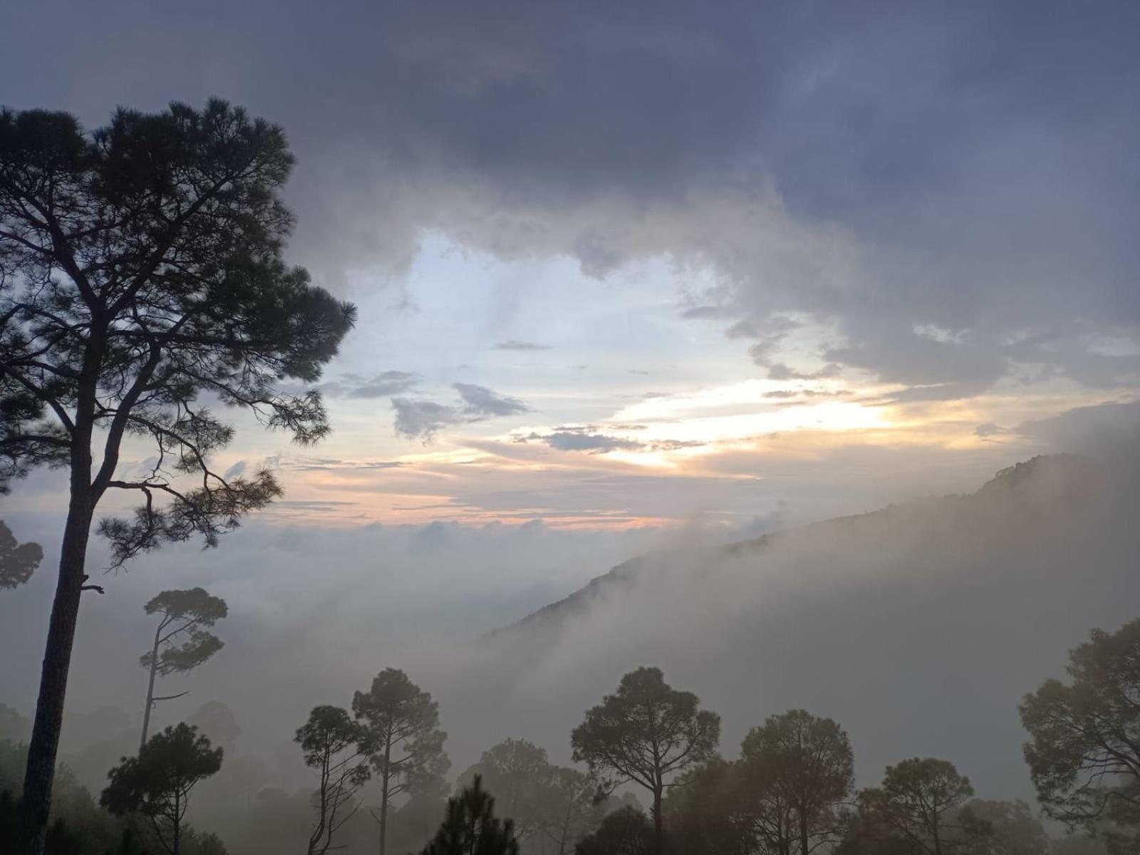 The Western Heights: Peaceful Family Apartments with Private Balconies Kasauli Exterior photo
